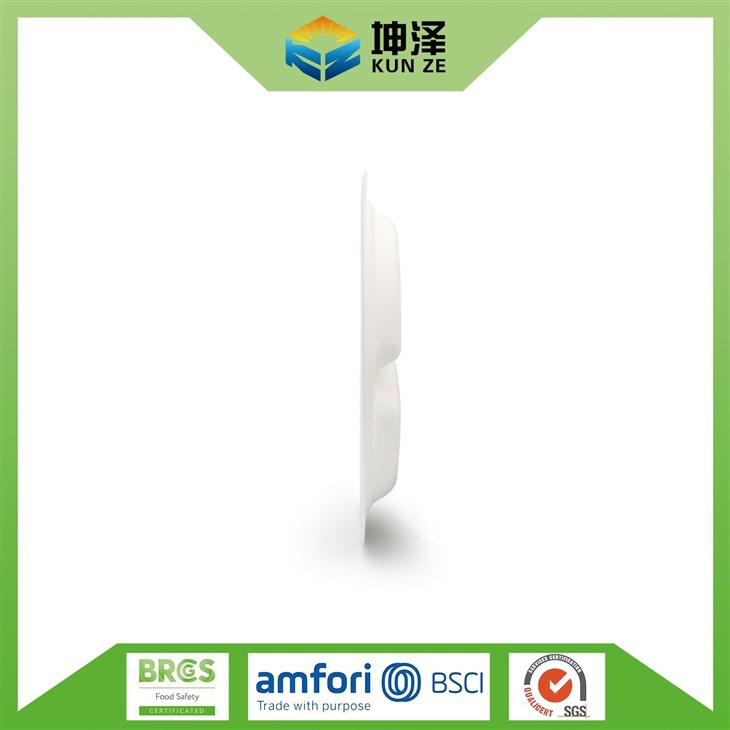 Sugarcane Fiber Plates