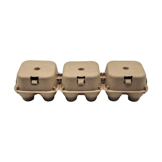 3 Egg Carton factory